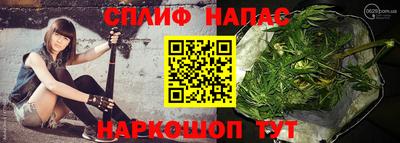 сатива Ярославль
