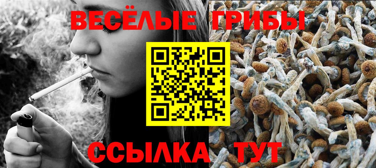 Псилоцибиновые грибы мицелий  Вход с VPN  Иваново 