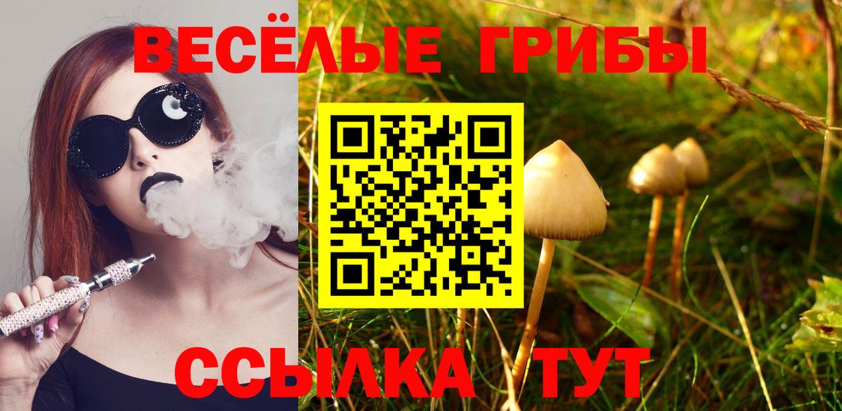 Галлюциногенные грибы Psilocybe Иваново